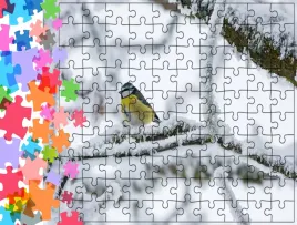 puzzle-tradycyjne-zwierzeta-ptak-producent