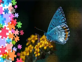 puzzle-tradycyjne-zwierzeta-motyl-producent
