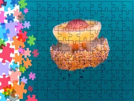 puzzle-tradycyjne-zwierzeta-meduza-producent