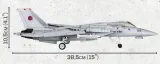 top-gun-f-14-tomcat
