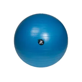 pilka-rehabilitacyjna-abs-65-cm-do-cwiczen-i-rehabilitacji-z-pompka