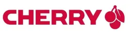 cherry-dw-8000-klawiatura-i-mysz-standard-bezprzewodowe-rf-qwertz-sreb