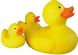 lena-duck-family