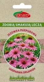 jezowka-purpurowa-02g-rudbekia-torseed