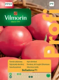 pomidor-belladona-8-szt-nasion-szklarniowy-vilmorin