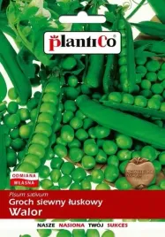 groch-siewny-luskowy-walor-plenny-duzy-bardzo-smaczny-nasiona-plantico