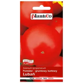pomidory-nasiona-gruntowy-srednio-wczesny-luban-pomidor-plantico