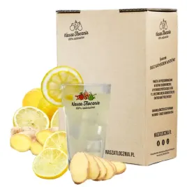 lemoniada-orzezwiajaca-cytryna-and-imbir-nasza-tlocznia-soki-tloczone-24h-5l