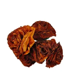 roze-x6-z-suszonych-lisci-magnolii-brazowe