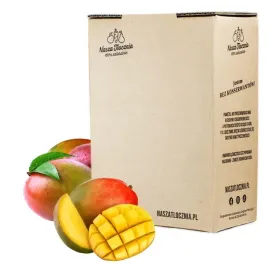 sok-tloczony-100percent-mango-nfc-bez-cukru-bez-konserwantow-naturalny-3l