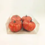 dynia-ozdobna-x4-kod-producenta-hortens