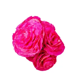 roze-x6-z-suszonych-lisci-magnolii-rozowe