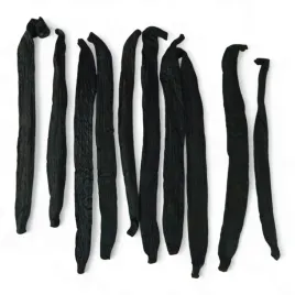 wanilia-pompona-royal-brand-10-lasek-18-25cm-najgrubsza-laska-wanilii