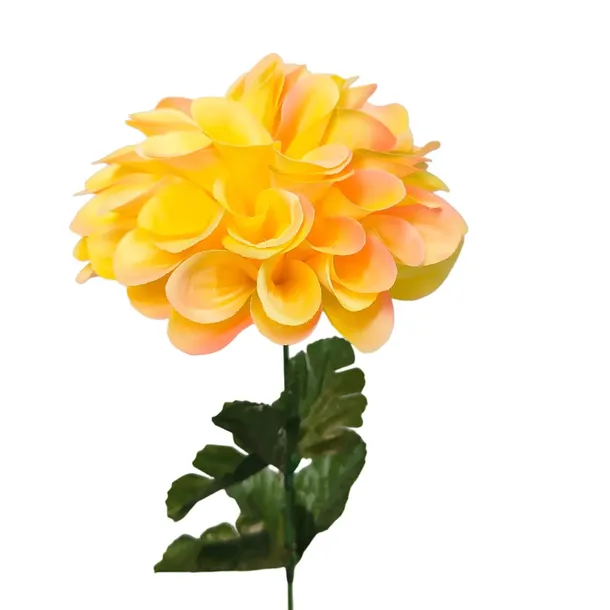 dalia-pojedyncza-zolta