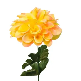 dalia-pojedyncza-zolta