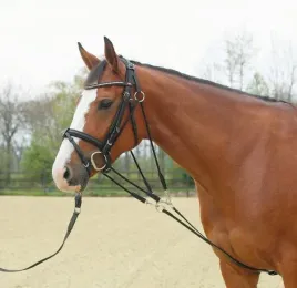 k-gog-busse-wodze-pomocnicze-gogue-czarny-cob-full