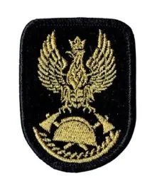 orzelek-psp-na-czapke-beret-panstwowej-strazy-pozarnej-naszywka-haft-zloty