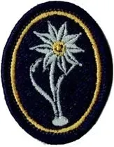 21-brygada-strzelcow-podhalanskich-oznaka-21bsp-szarotka-naszywka-granatowa