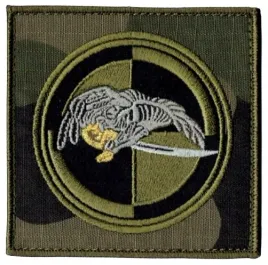 25-brygada-kawalerii-powietrznej-oznaka-25bkp-polowa-naszywka-94x94mm-rzep