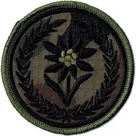 21-brygada-strzelcow-podhalanskich-oznaka-szarotka-21bsp-naszywka-us-22
