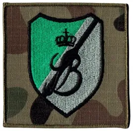 9-brygada-kawalerii-pancernej-oznaka-polowa-9-bkpanc-naszywka-us-22-rzep