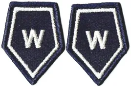 policja-sluzba-spraw-wewnetrznych-korpusowki-policyjne-patki-naszywka