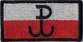 pw-polska-walczaca-9-x-45-cm-naszywka-197r