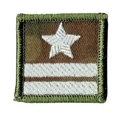 stopien-wp-na-futazerke-major-naszywka-1378