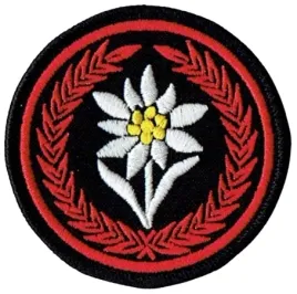 21-brygada-strzelcow-podhalanskich-batalion-saperow-naszywka-na-rzep
