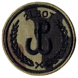 2lbot-oznaka-rozpoznawcza-polowa-wot-naszywka-wz2010-us-22-rzep-nowy-wzor