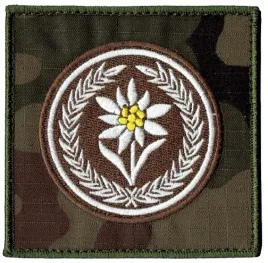 3-batalion-strzelcow-podhalanskich-szarotka-21bsp-naszywka-us-22-rzep