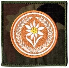 21-brygada-strzelcow-podhalanskich-szarotka-4-bsp-21bsp-naszywka-us-22