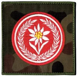 21-brygada-strzelcow-podhalanskich-szarotka-21bsp-1bsp-naszywka-us-22