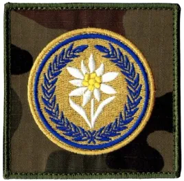 21-batalion-logistyczny-szarotka-21bsp-naszywka-us-22-rzep