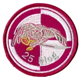25-brygada-kawalerii-powietrznej-25-batalion-logistyczny-25bkp-wyjsciowa