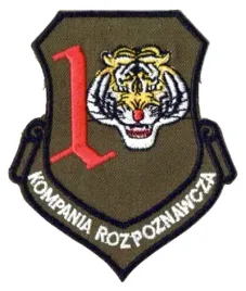1-kompania-rozpoznawcza-khaki