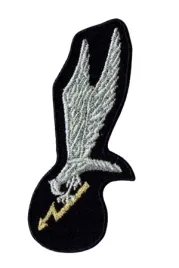 gapa-spadochronowa-oznaka-skoczka-grom-naszywka-czarna-haftowana
