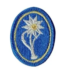 21-dywizjon-artylerii-przeciwlotniczej-21bsp-szarotka-oznaka-na-beret