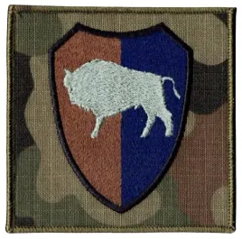 10-brygada-logistyczna-opole-oznaka-polowa-us-22-94x94mm-10bl-naszywka-rzep