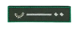 podlesniczy-oznaka-w-lasach-panstwowych-rzep