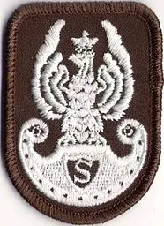orzelek-zs-strzelec-brazowy