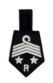 zosp-zarzad-wojewodzki-dystynkcja-osp-na-koszule-wszystkie-stopnie-naszywka