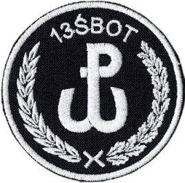 13-slaska-brygada-ot-oznaka-wyjsciowa-wot-13sbot