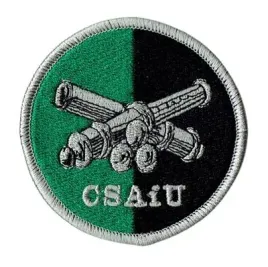 centrum-szkolenia-artylerii-i-uzbrojenia-oznaka-rozpoznawcza-csaiu-naszywka