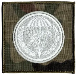6-batalion-logistyczny-oznaka-rozpoznawcza-6bpd-naszywka-us-22-94x94mm-rzep