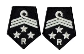 zarzad-powiatowy-zosp-dystynkcje-patki-galowe-osp
