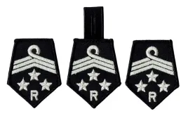 zarzad-powiatowy-zosp-dystynkcje-patki-galowe-osp