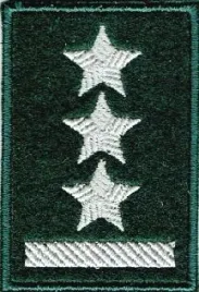 porucznik-stopien-na-beret-zielony-naszywka-2277