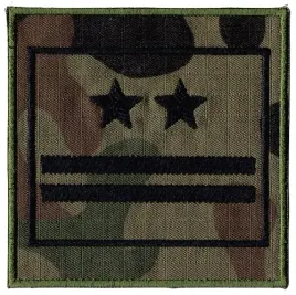 dystynkcja-podpulkownik-wz2010-us-22