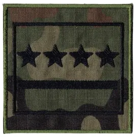dystynkcja-kapitan-wz2010-us-22